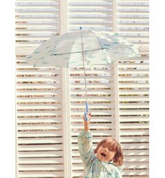 窓付き傘
