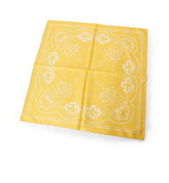 【インデックス/index】 バンダナ柄スカーフ [3000円(税込)以上で送料無料]