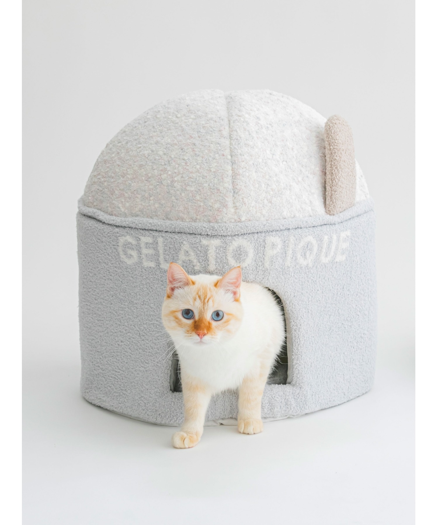 【CAT&DOG】【販路限定商品】ベビモコカップアイス型ハウス