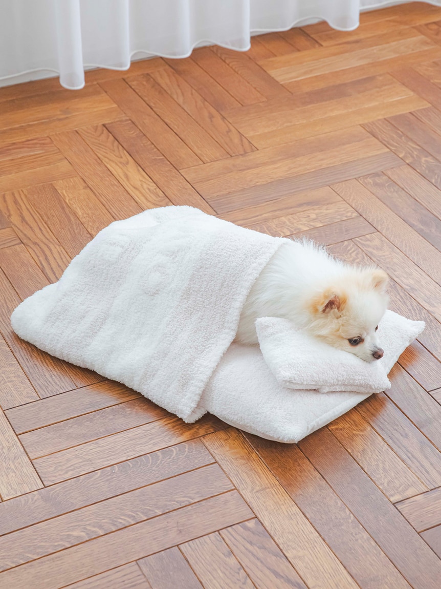 【CAT&DOG】【販路限定商品】ベビモコおふとんセット