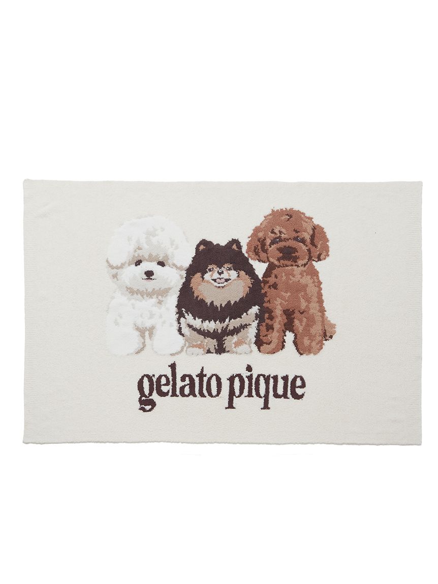 gelato pique DOG3柄　ポメラニアン