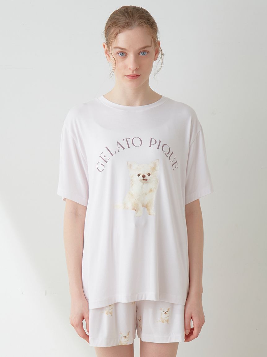 ラッピング済み】DOG柄ワンポイントTシャツ＆ショートパンツSET|gelato