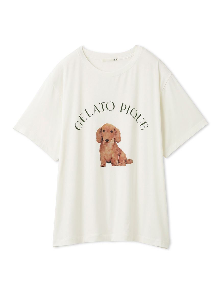 ラッピング済み】DOG柄ワンポイントTシャツ＆ショートパンツSET|gelato