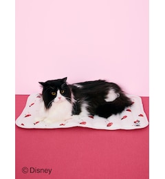 【CAT&DOG】【販路限定商品】Minnie/COOLマット