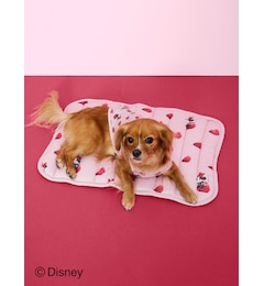 【CAT&DOG】【販路限定商品】Minnie/COOLプルオーバー