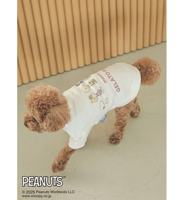 ߥͤ㤨֡ڥ顼ȡԥ/gelato pique PEANUTSۡCAT&DOG΢ӥץ륪СפβǤʤ3,960ߤˤʤޤ