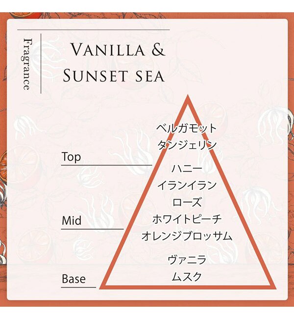 最愛 SWATi Salt Scrub Treatment Vanilla Sunset sea ボディスクラブ broadcastrf.com