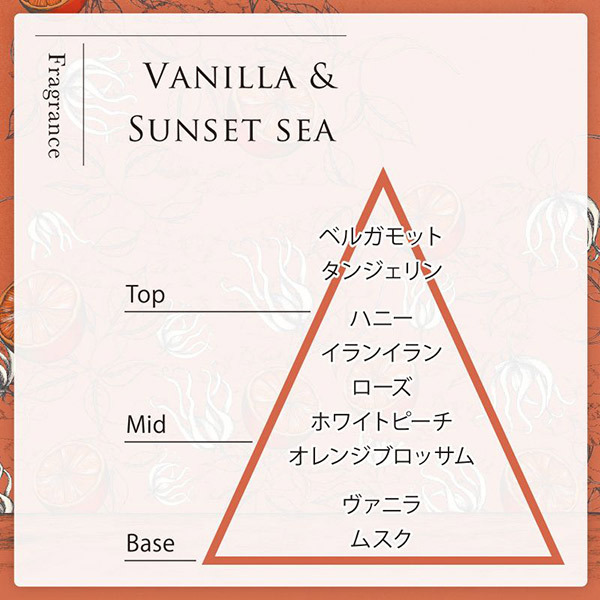 最愛 SWATi Salt Scrub Treatment Vanilla Sunset sea ボディスクラブ broadcastrf.com 最愛 SWATi Salt Scrub Treatment Vanilla Sunset sea ボディスクラブ broadcastrf.com