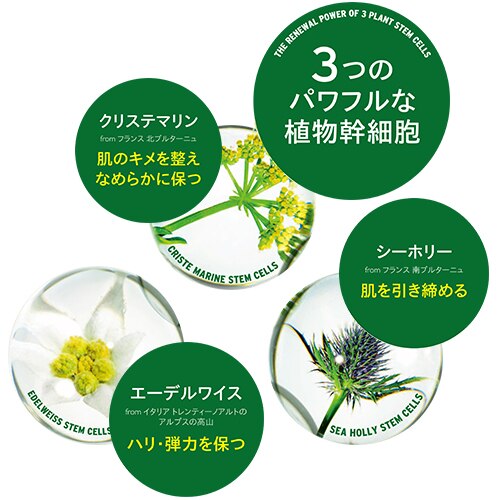 ユースコンセントレート ＤＯＹ 50mL|THE BODY SHOP(ザボディショップ