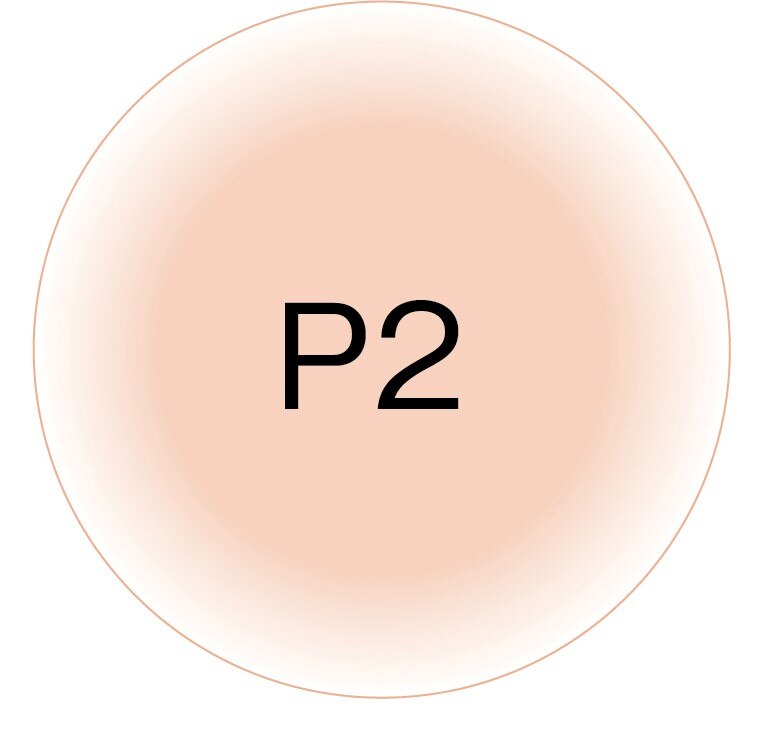 （限定）ポーラ BA パウダリィファンデーション p2ファンデーション