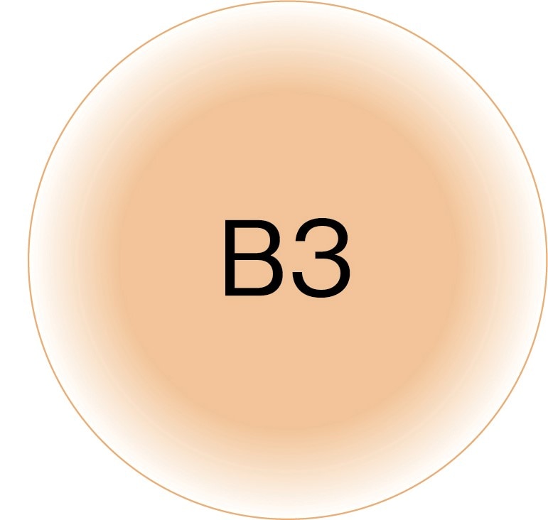 B.A パウダリィファンデーション B3 （10g） 【パフ付き・ケース別売 