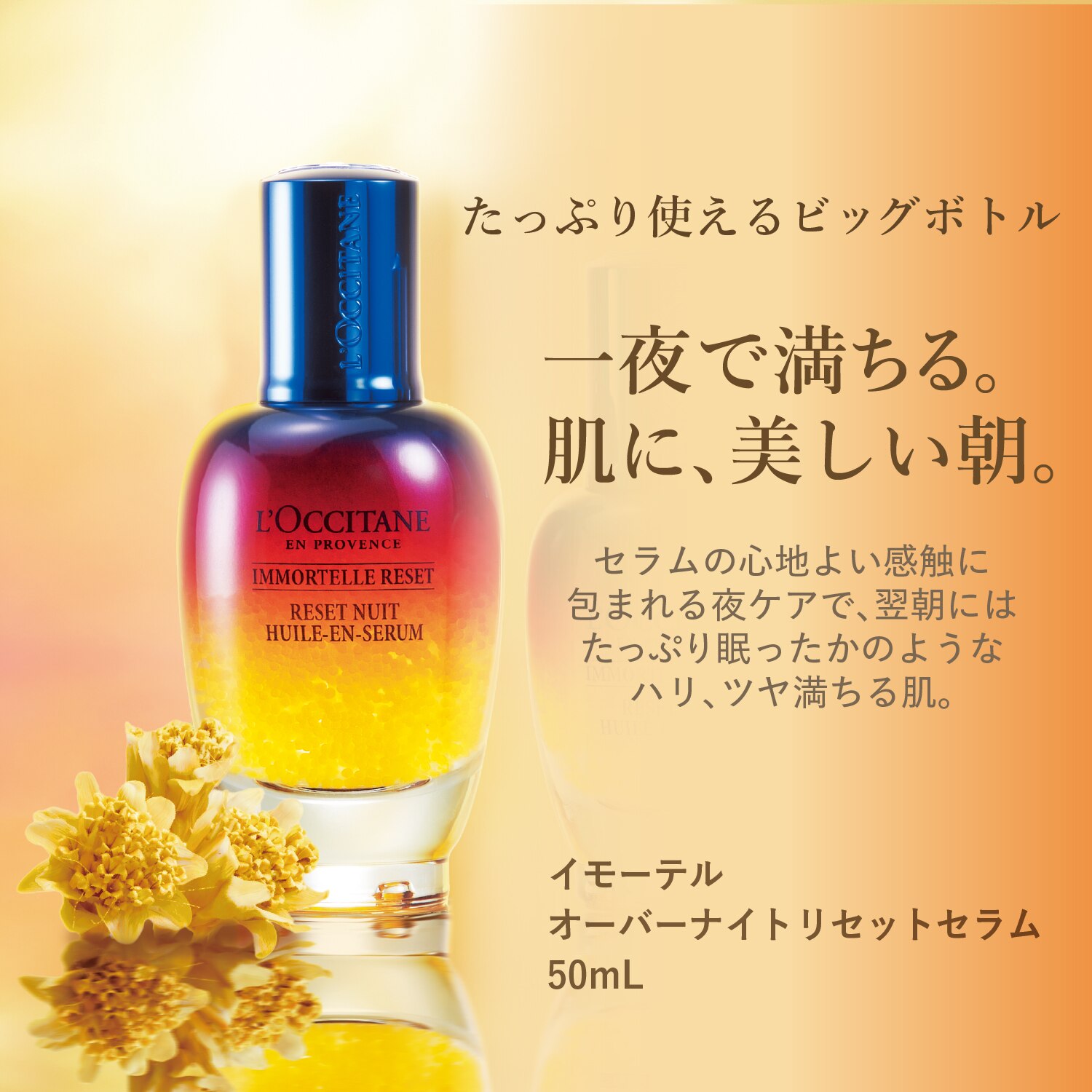 ロクシタン　ビックボトル　イモーテルオーバーナイトリセットセラム50ML 限定