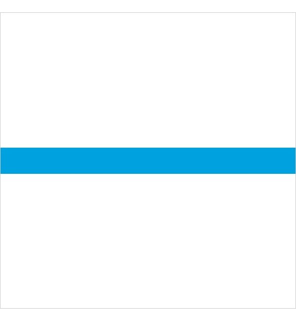 【エディト・トロワ・シス・サンク/EDITO 365】 マスキングテープ ベーシック(ネオン) / 「maste 」