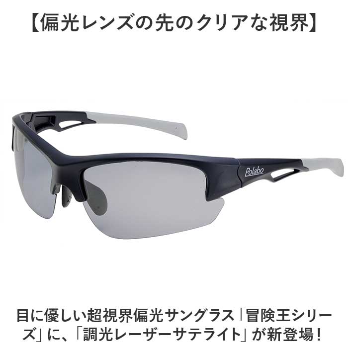 スワンズ SWANS オーバーグラス Over Glass ハーフリム 偏光