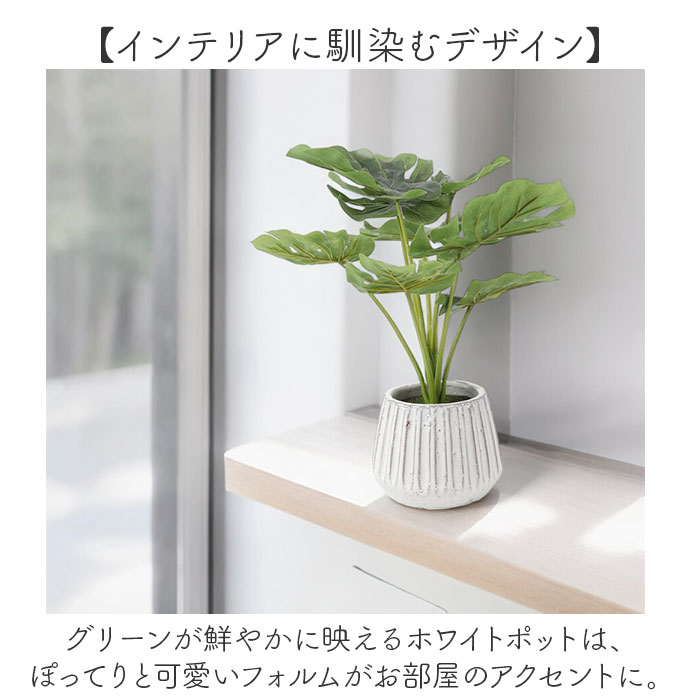 光触媒 人工観葉植物 通販 フェイクグリーン インテリアグリーン イミテーショングリーン|BACKYARD  FAMILY(バックヤードファミリー)の通販｜アイルミネ