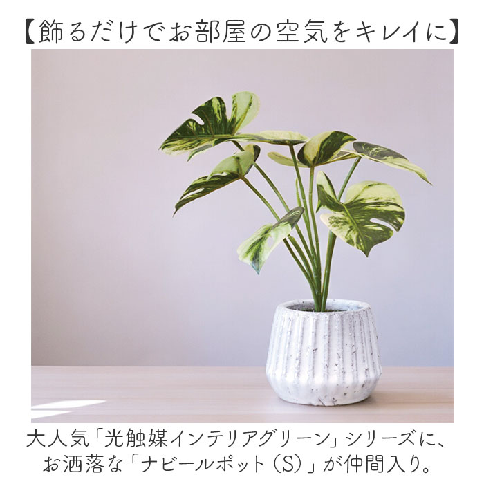 光触媒 フェイクグリーン 通販 人工観葉植物 イミテーショングリーン インテリアグリーン 消臭|BACKYARD  FAMILY(バックヤードファミリー)の通販｜アイルミネ