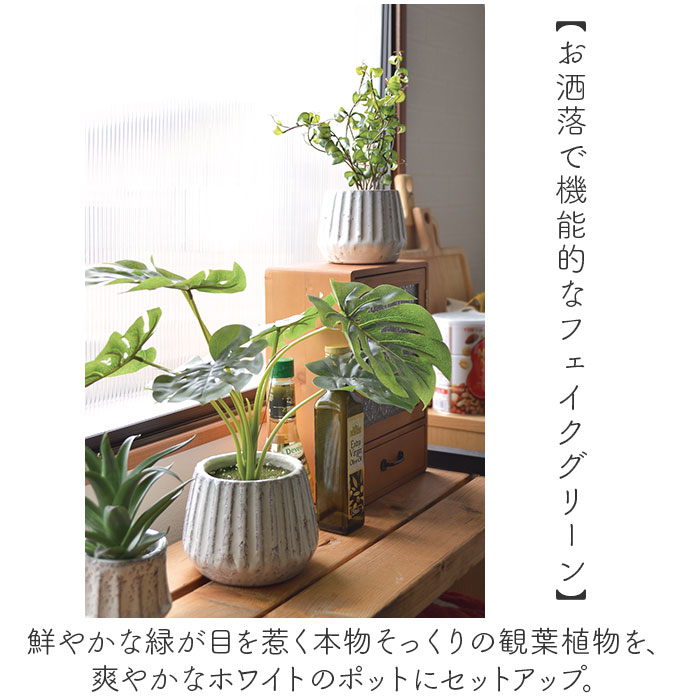 光触媒 フェイクグリーン 通販 人工観葉植物 イミテーショングリーン インテリアグリーン 消臭|BACKYARD  FAMILY(バックヤードファミリー)の通販｜アイルミネ