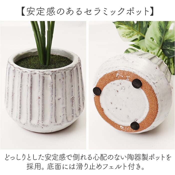 光触媒 フェイクグリーン 通販 人工観葉植物 イミテーショングリーン インテリアグリーン 消臭|BACKYARD  FAMILY(バックヤードファミリー)の通販｜アイルミネ