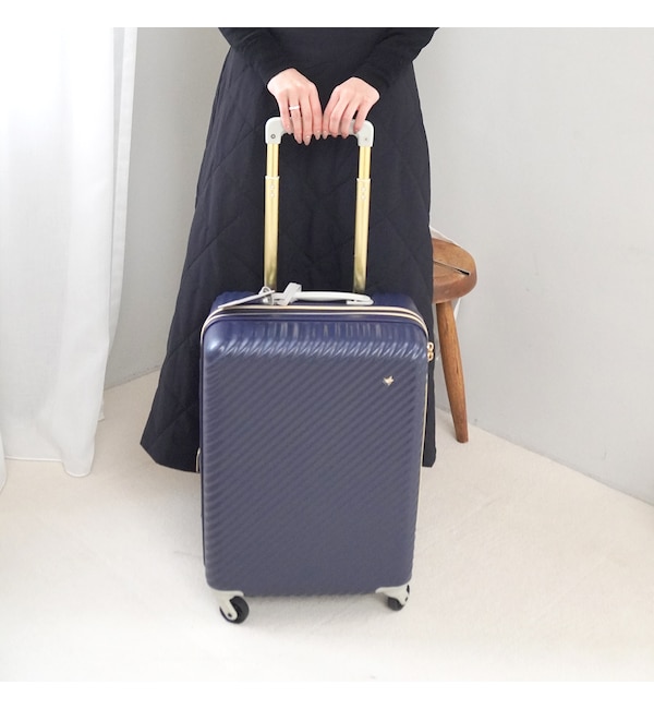 HaNT×ジュエルナローズ コラボ スーツケース 機内持ち込みサイズ|Jewelna Rose(ジュエルナローズ)の通販｜アイルミネ