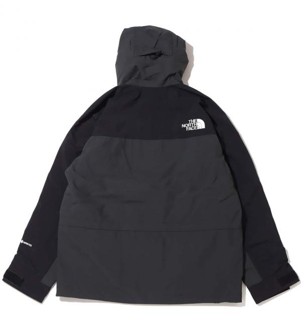 THE NORTH FACE MOUNTAIN LIGHT JACKET アスファルト グレー 23SS-I ...