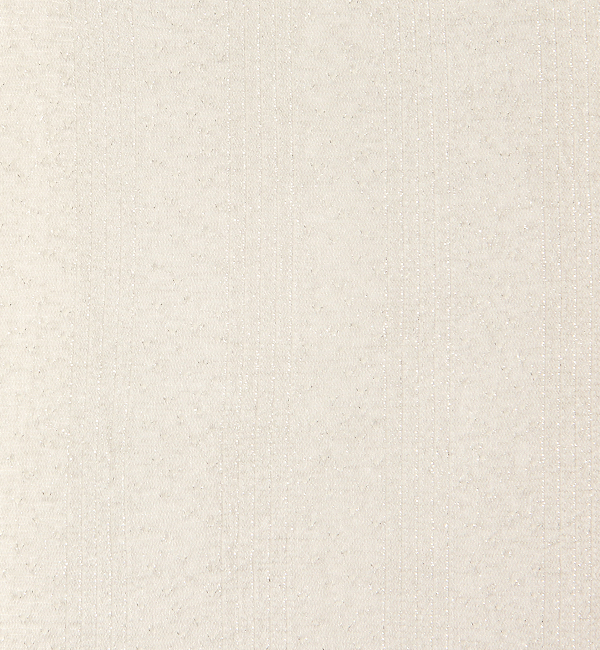 【タビオ/Tabio】 ラメドットストライプストッキング 【CHAUSSETTES】 [3000円(税込)以上で送料無料]