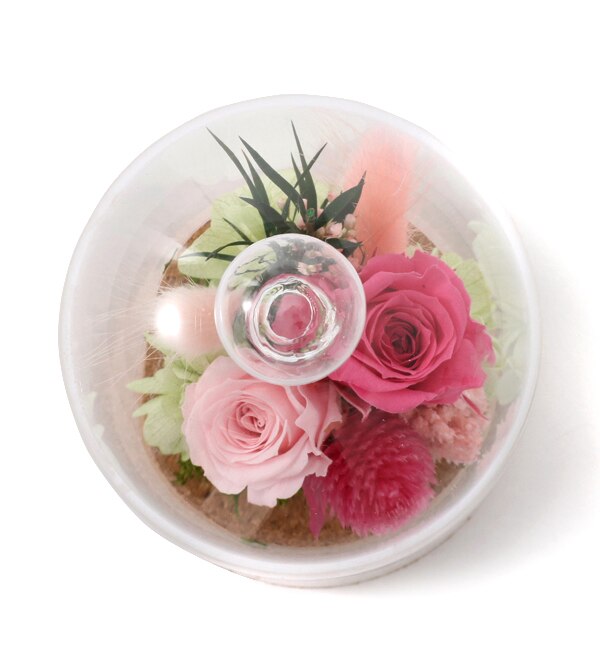 ガラスドーム型　プリザーブドフラワー入りアレンジメント〈ピンク〉