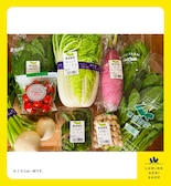 <随時受付>旬の東京野菜詰め合わせ+加工品