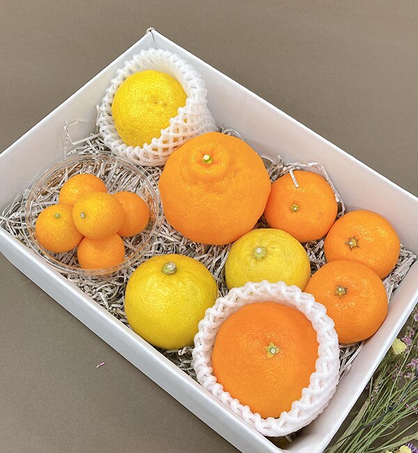 【LUMINE AGRI SHOP】柑橘づくしのいろどりくだもの(ちょっとづつ）